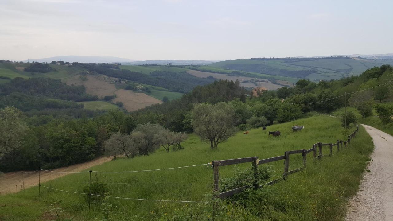 Tenuta Gran Bosco Loro Piceno Exterior foto